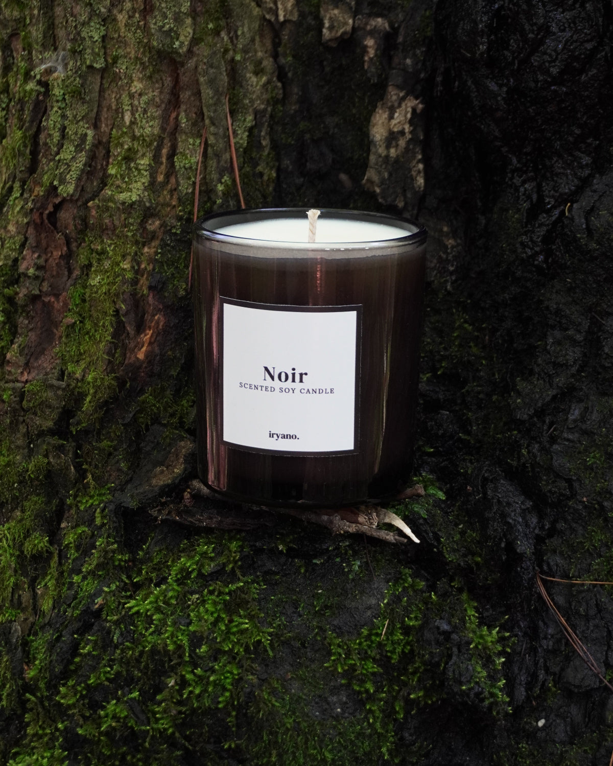 Noir Candle on part of a tree trunk