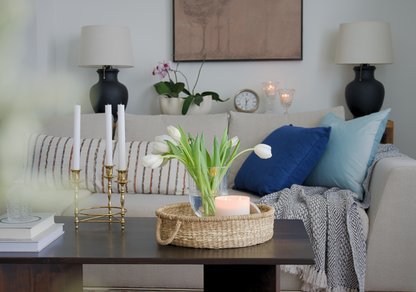 Ice Blue Velvet Pillows Cover