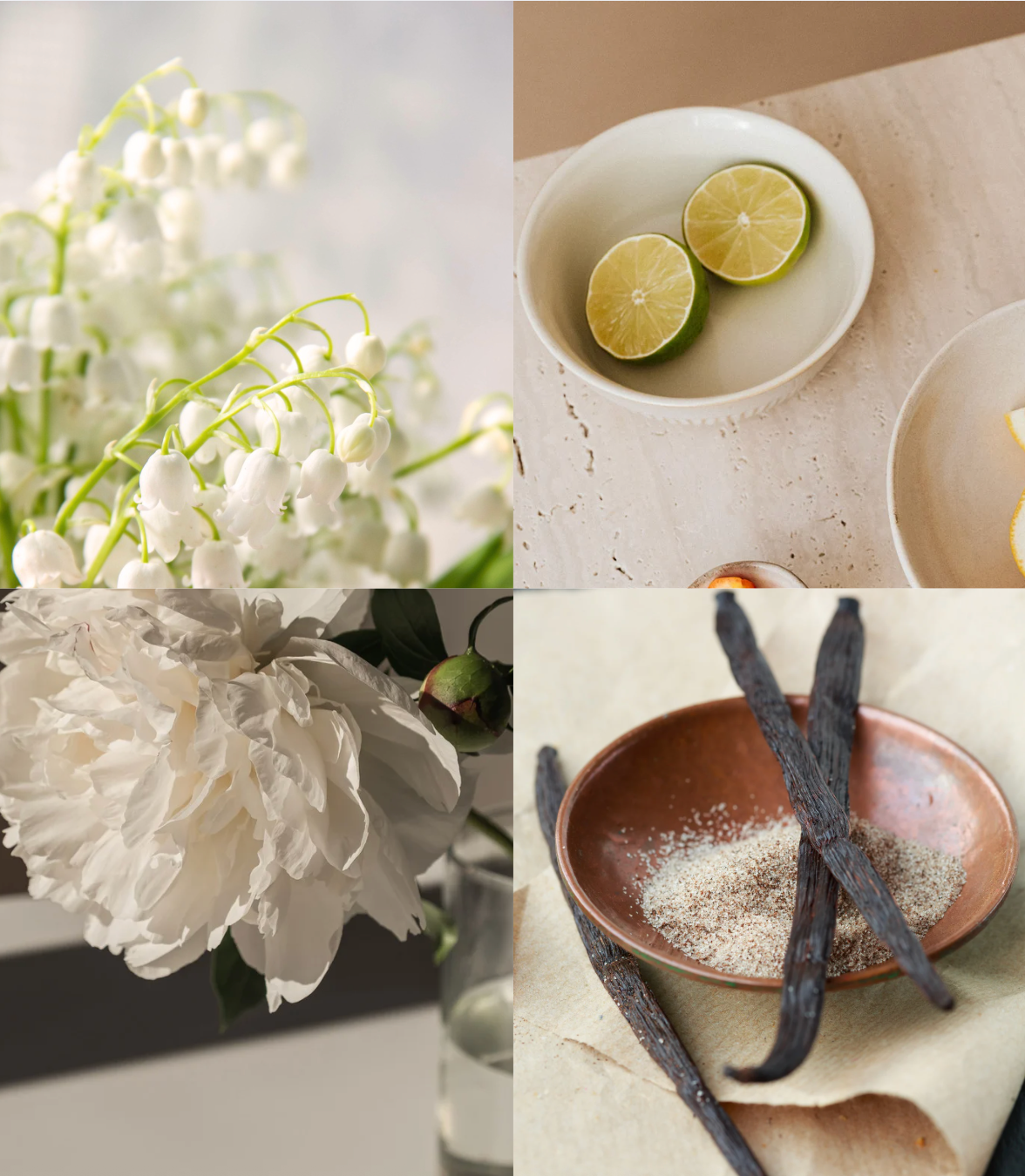 Collage of white flowers, limes in a bowl, vanilla beans in a dish, and a neutral background.